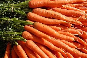 fresh raw carrots